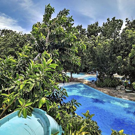 Dominiks Quite And Elegant Studio Ocean View Pool At Tambuli Resort High Floor マクタン エクステリア 写真